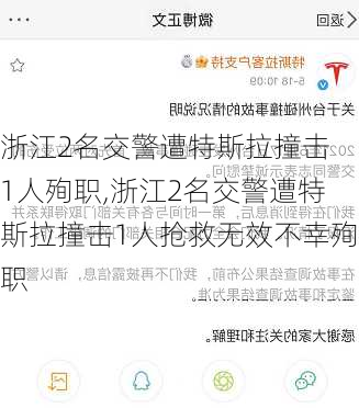 浙江2名交警遭特斯拉撞击 1人殉职,浙江2名交警遭特斯拉撞击1人抢救无效不幸殉职