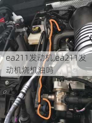 ea211发动机,ea211发动机烧机油吗