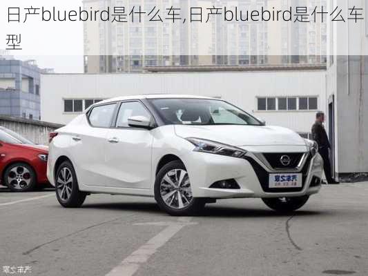 日产bluebird是什么车,日产bluebird是什么车型