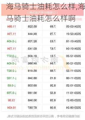 海马骑士油耗怎么样,海马骑士油耗怎么样啊