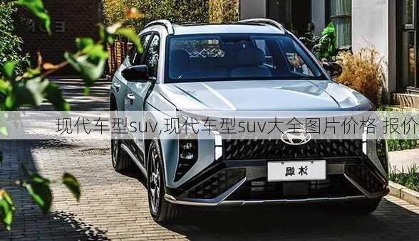 现代车型suv,现代车型suv大全图片价格 报价