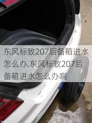 东风标致207后备箱进水怎么办,东风标致207后备箱进水怎么办啊