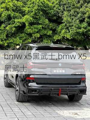 bmw x5黑武士,bmw X5黑武士