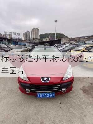 标志敞篷小车,标志敞篷小车图片