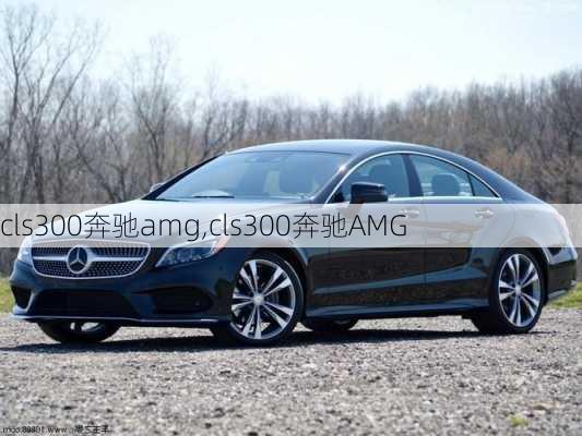 cls300奔驰amg,cls300奔驰AMG