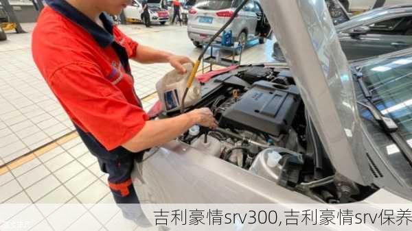 吉利豪情srv300,吉利豪情srv保养