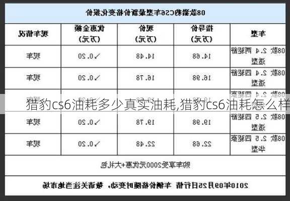 猎豹cs6油耗多少真实油耗,猎豹cs6油耗怎么样