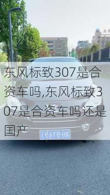 东风标致307是合资车吗,东风标致307是合资车吗还是国产